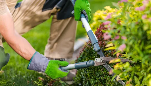 Jardinagem e Paisagismo  | Fxseg Facilities